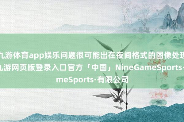 九游体育app娱乐问题很可能出在夜间格式的图像处理算法上-九游网页版登录入口官方「中国」NineGameSports·有限公司