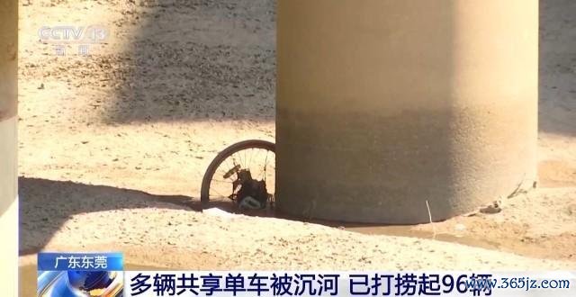 多辆分享单车被千里河 96辆已打捞起