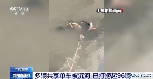 多辆分享单车被千里河