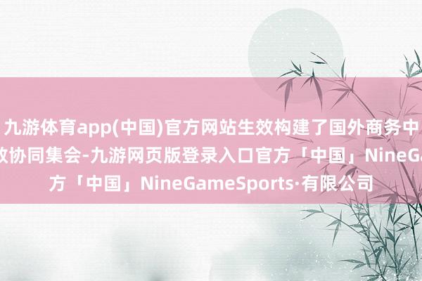 九游体育app(中国)官方网站生效构建了国外商务中心与国内前置仓的高效协同集会-九游网页版登录入口官方「中国」NineGameSports·有限公司